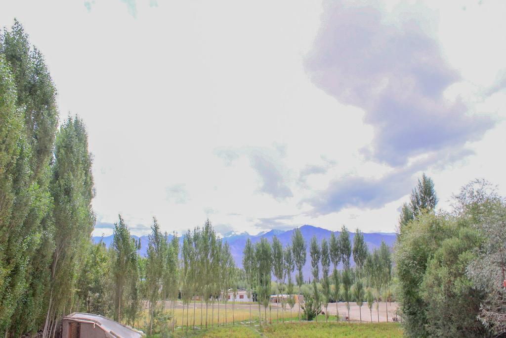 Tsetan Guest House Leh Exterior photo